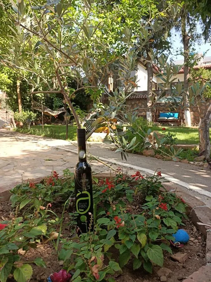 Hotel Hadrianus Pansion Antalya