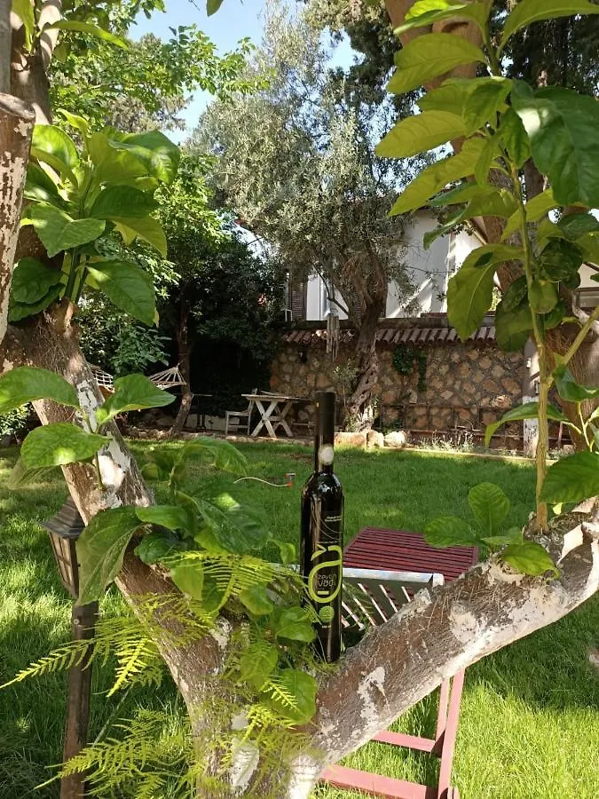 Hadrianus Pansion Hotel Antalya